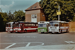 Buses and coaches parked in Colchester bus station – 17 Aug 1989 (95-10)