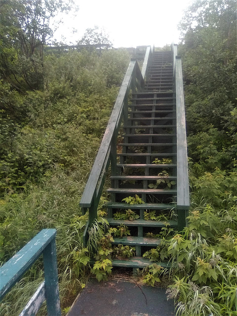 Escalier vers...... / Stairway to....