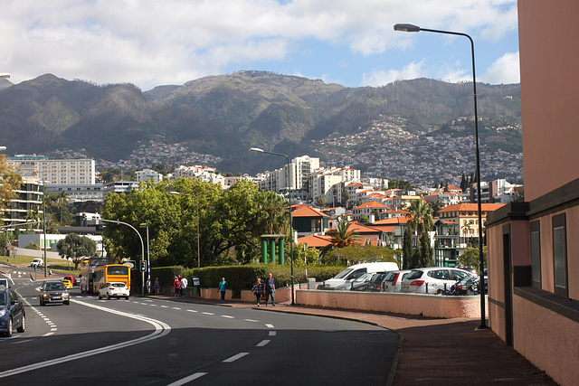 View towards the Hills