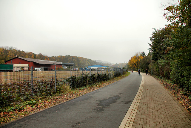 Die Nordbahntrasse am ehemaligen Bahnhofsgelände Mirke (Wuppertal-Elberfeld) / 8.11.2017