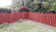 HFF everybody my Fence just finished painting during Lockdown