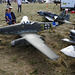 aaacssep112021 (1010)