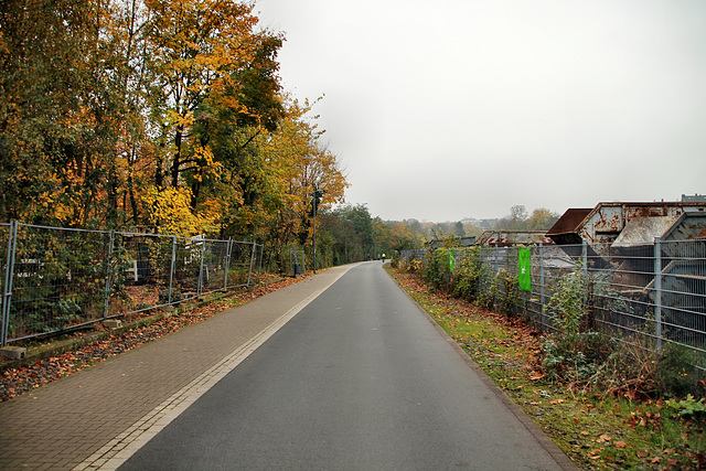 Ehem. Bahnstrecke Düsseldorf-Derendorf–Dortmund Süd (Wuppertal-Elberfeld) / 8.11.2017