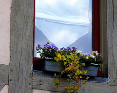 ... jardinière à Pont l'Evêque ...