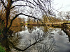 River Stour ~ Sturminster Newton.