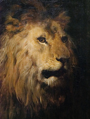 "Tête de lion" (Léon Cogniet - vers 1860)