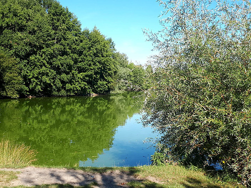 Etang de Toutevoie