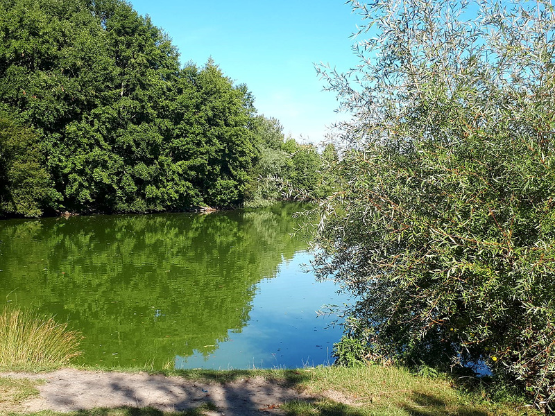 Etang de Toutevoie