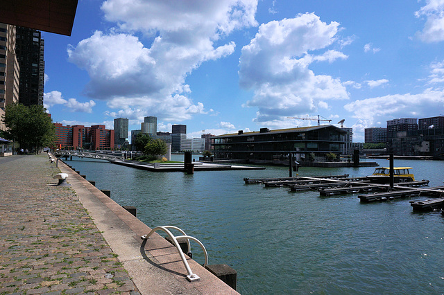 Rijnhaven