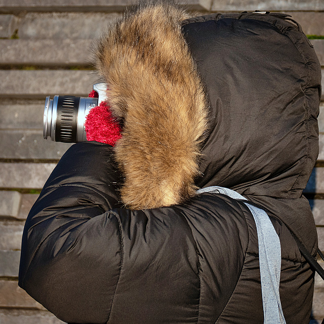 Den Namen dieses Tieres kenne ich nicht, aber es scheint gerne zu fotografieren :-) (PiP) - Köln