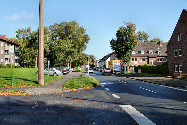 Wildermannstraße (Recklinghausen) / 3.10.2017