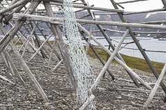 Auf Varanger: zwischen Syltefjord und Berlevåg