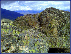 Granite and lichen II.