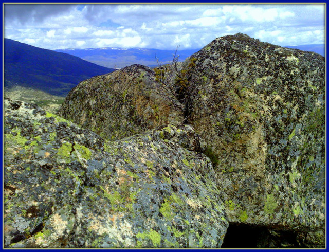 Granite and lichen II.