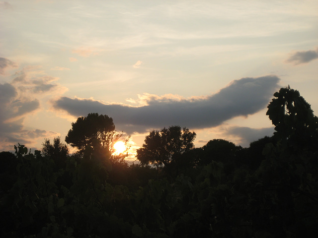 Sonnenuntergang am 24.08. - der Vollmond naht.