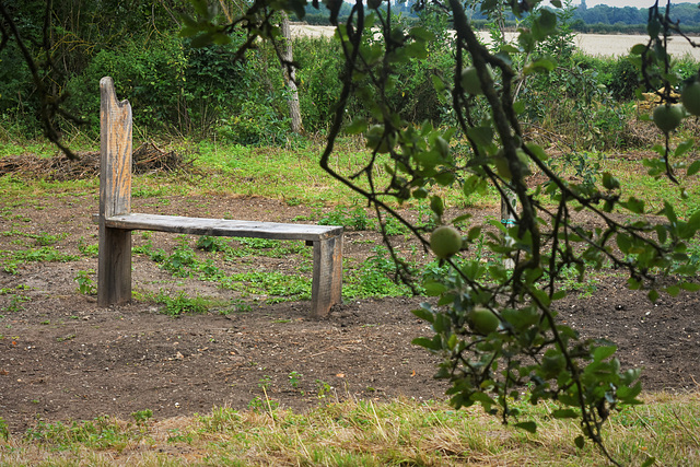 Bench in the station masters orchard!