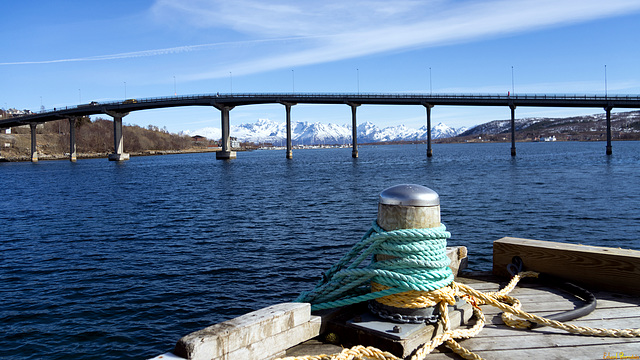 Børøy bru