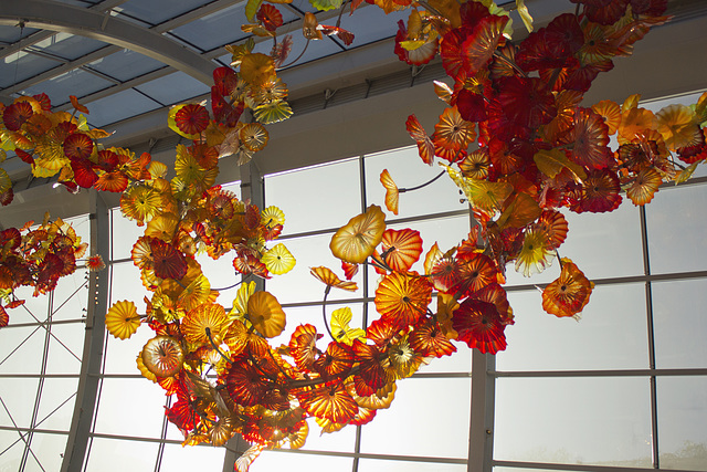 @ Chihuly Garden and Glass