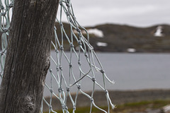 Auf Varanger: zwischen Syltefjord und Berlevåg