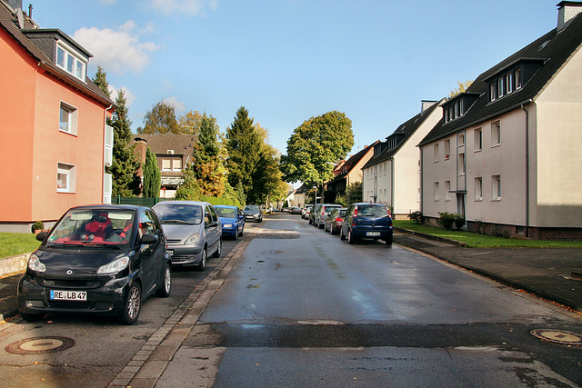 Grüner Weg (Recklinghausen) / 3.10.2017