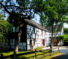 DE - Schleiden - Wolfgarten