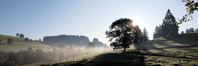 Frühnebel bei Wiederhofen / Missen (pip)