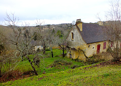 Vieille maison Périgourdine à St Alvère (24)