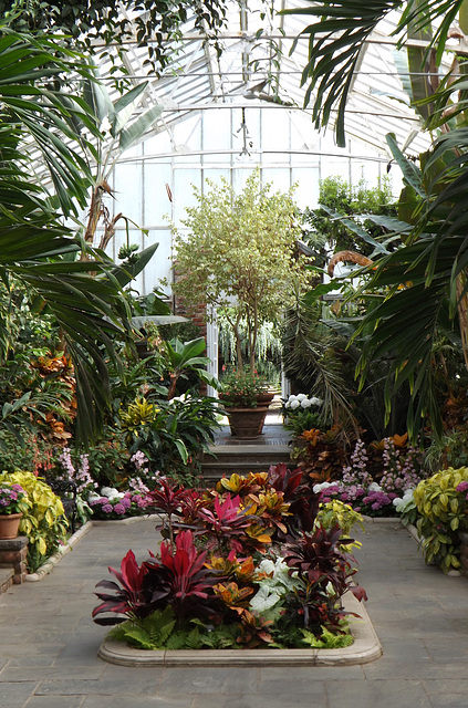 Interior of one of the Greenhouses at Planting Fields, May 2012