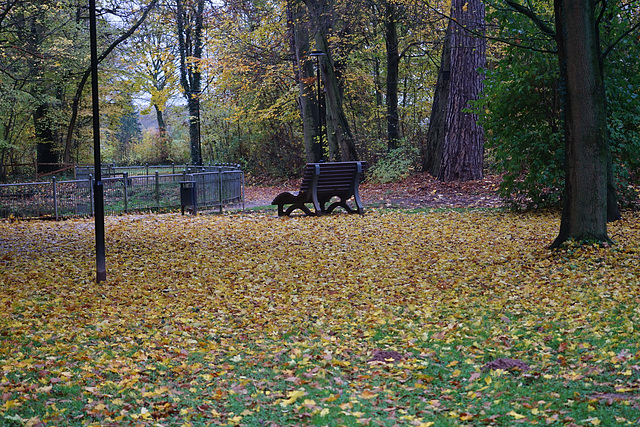 Bank im Schlosspark