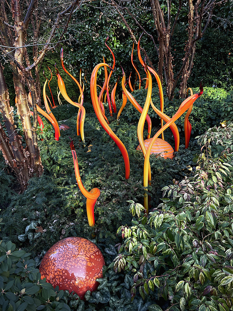 @ Chihuly Garden and Glass