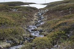 Auf Varanger: zwischen Syltefjord und Berlevåg