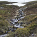 Auf Varanger: zwischen Syltefjord und Berlevåg Auf Varanger: zwischen Syltefjord und Berlevåg