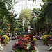 Interior of one of the Greenhouses at Planting Fields, May 2012