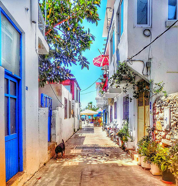 Typical street in Bodrum