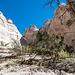 New Mexico slot canyon53