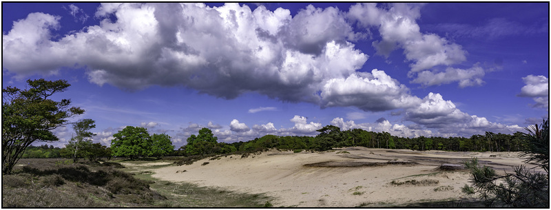 't Bluk bij Laren Nh