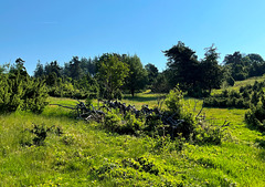 DE - Arft - Auf dem Bergheidenweg