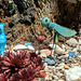 PXL 20250603 165334281-001-Grasshopper