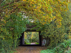 Hayling Billy Trail (2)