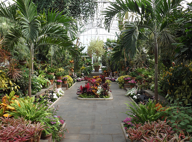 Interior of one of the Greenhouses at Planting Fields, May 2012