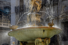 Fontana Pretoria