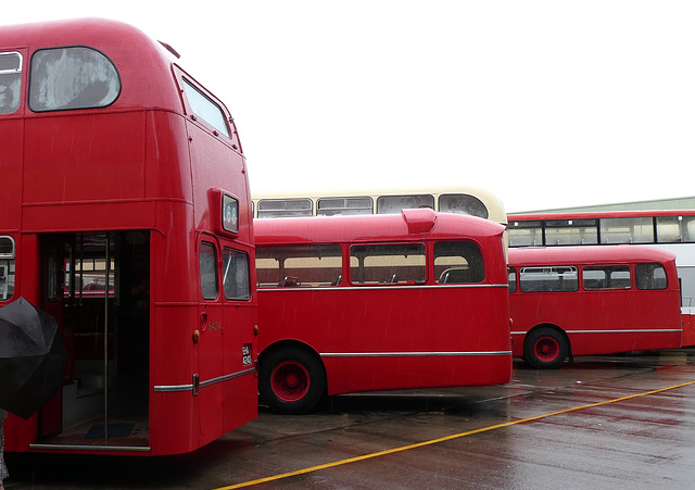 Preserved former Midland Red buses - 27 Jul 2019 (P1030276)