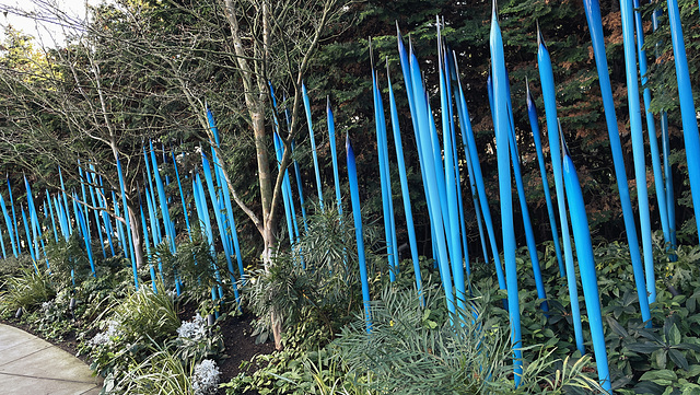 @ Chihuly Garden and Glass