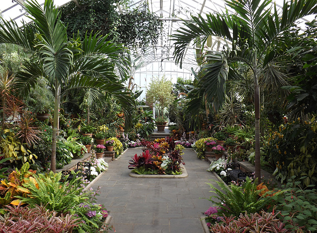 Interior of one of the Greenhouses at Planting Fields, May 2012