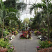 Interior of one of the Greenhouses at Planting Fields, May 2012