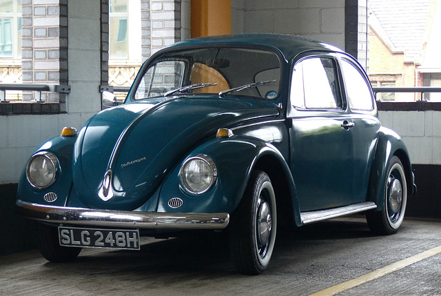 A Beetle in Liverpool - 14 July 2015