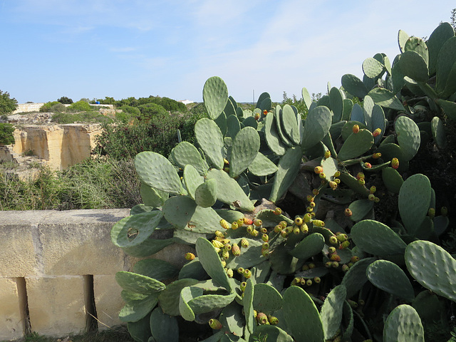 Ancient Quarries