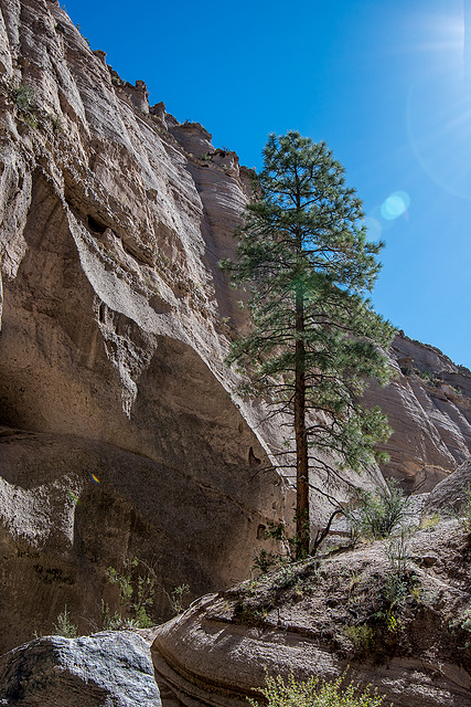 New Mexico slot canyon55