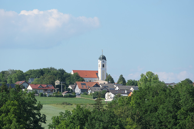 Hohenschambach, Pfarrkirche Mariä Heimsuchung (PiP)