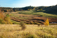 Naturschutzgebiet ehemaliger Tagebau Haverlahwiese